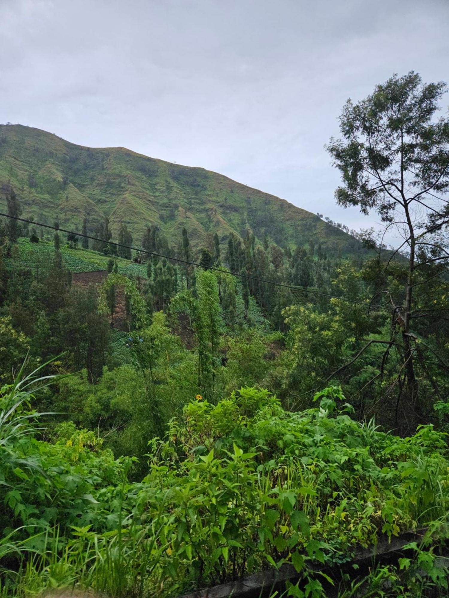 Arum Bromo Villas Ngadisari Exterior foto
